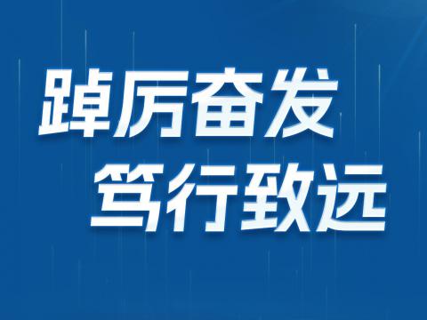 一图读懂冰球突破电气2024年半年报